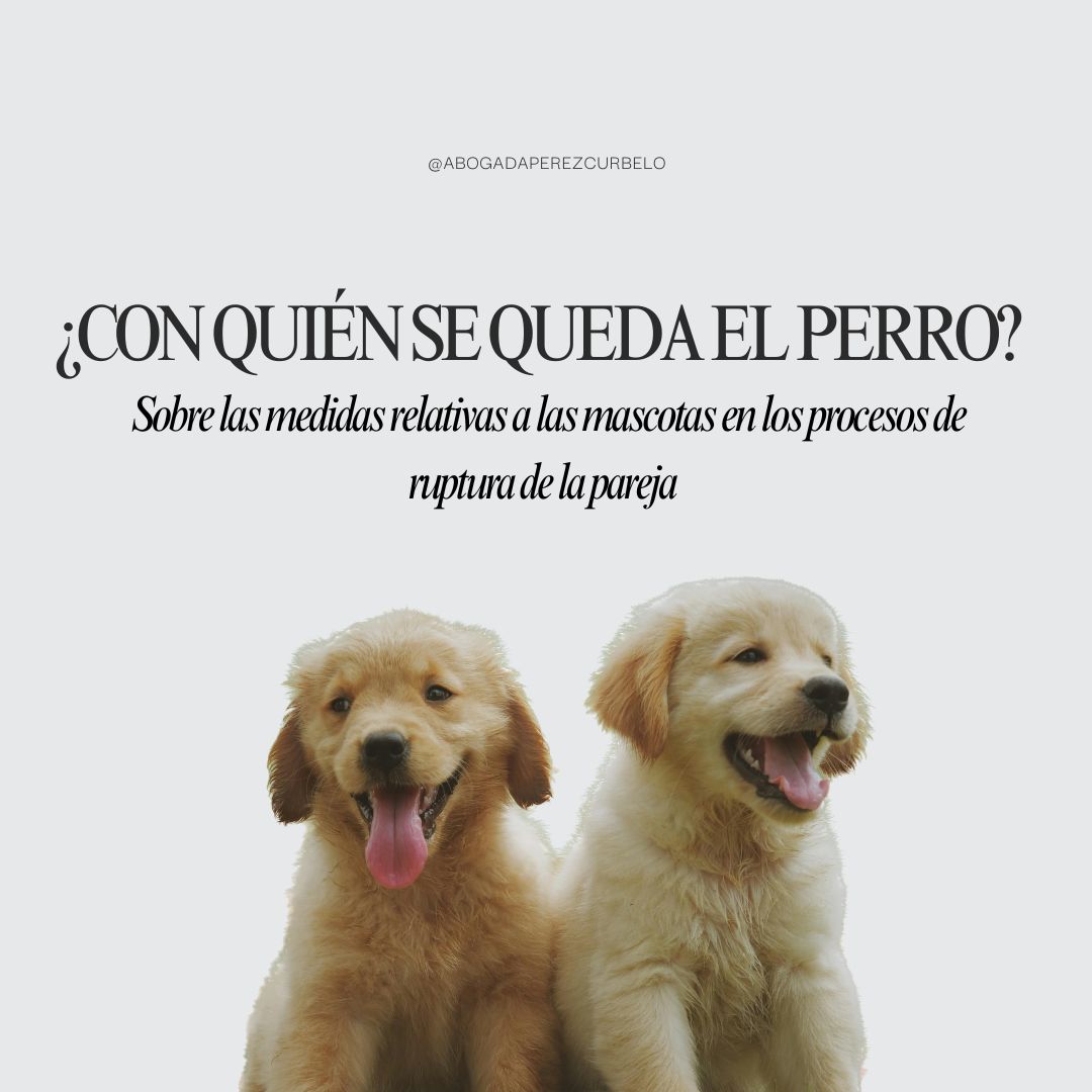 ¿CON QUIÉN SE QUEDA EL PERRO?